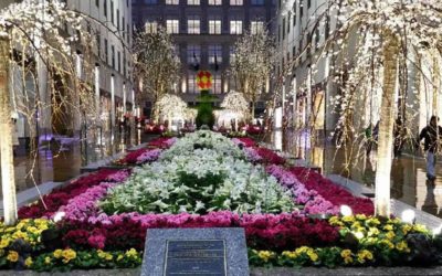 Rockefeller Center Channel Gardens