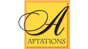 Introducing Aptations Mirror