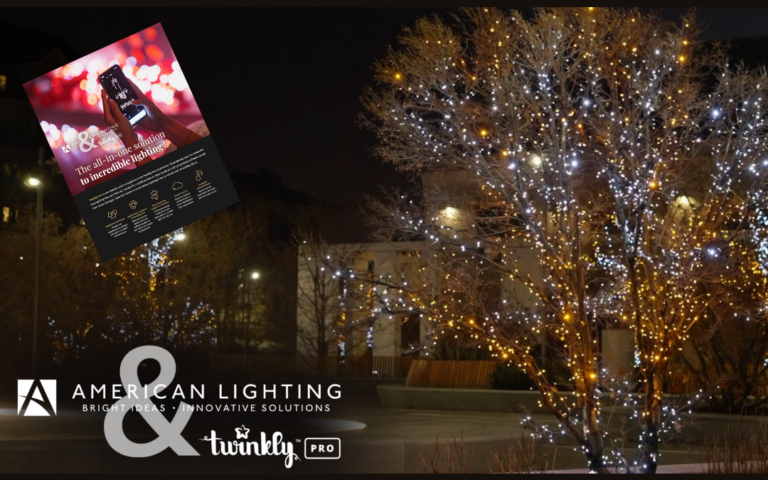 Maximize Your Holiday Lighting Season Profits With Twinkly Pro, The LED Game Changer.